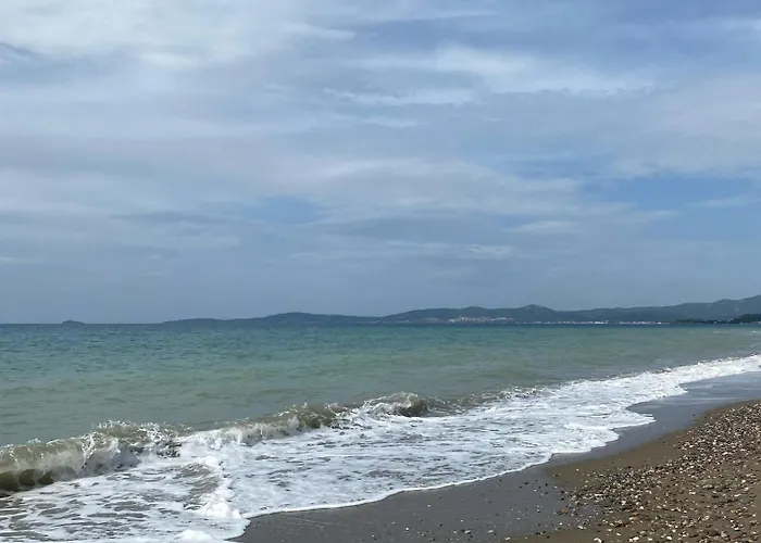 Rodis גומולדור